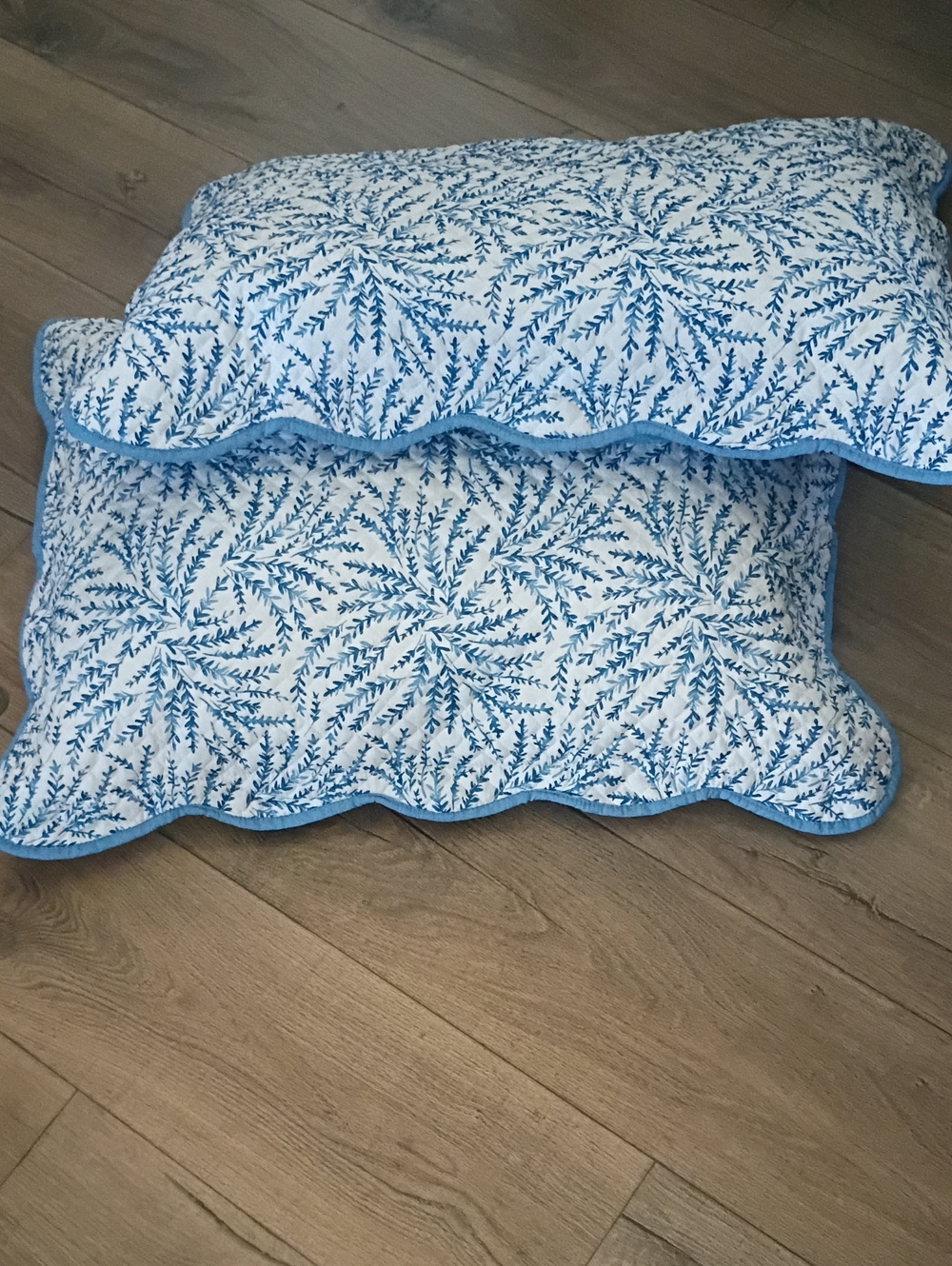 Two Queen Shams Flowing Blue Fern Design Scalloped Edges Classic Grid Quilting